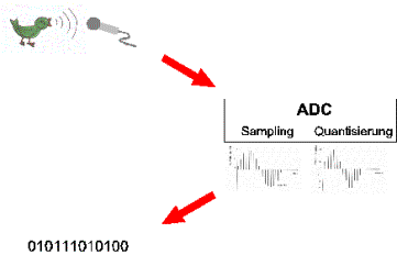 Digitalisierung von Schallwellen